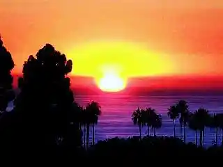 Picture for song 'Seasons/Mystery Loves Company/Bullet Train' by artist 'Johanna Renfro'