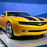 Picture for song 'Bumble Bee (tagged) Free DL' by artist 'Memphis Veteran'