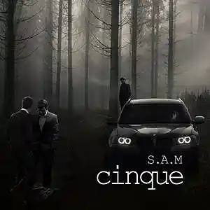 Picture for song 'cinque' by artist 'IOWA'