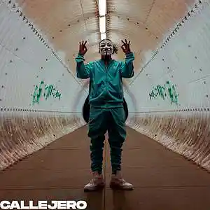 Picture for song 'CALLEJERO (90bpm C Minor)' by artist 'SteveJal'