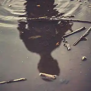 Picture for song '"Shadow"- Rap instrumental(Prod.whoDeany)#beats' by artist 'whoDeanyBeatz'