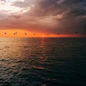 Picture for song '"Start"- Rap instrumental(Prod.whoDeany)#beats' by artist 'whoDeanyBeatz'