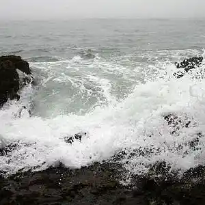 Picture for song 'mimofr x Shed Theory Type beat - "wave"' by artist 'maxxyn00'