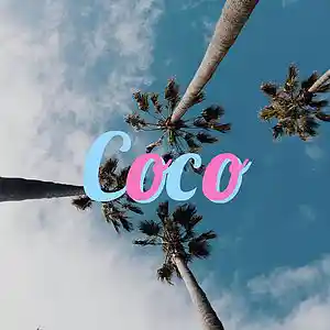 Picture for song 'Coco - Travis Scott Type Tropical Beat' by artist 'Pinkman Beatz'