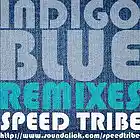 Picture for song 'Indigo Blue (true blue remix)' by artist 'SpeedTribe'