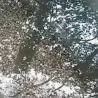 Picture for song 'cove red practice snippet #1' by artist 'yinky'