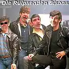Picture for song 'Die Ruelpsenden Bisons - Sommer Song ( Faster )' by artist 'Die Ruelpsenden Bisons'