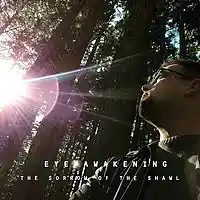 Picture for song 'The Sorrow of the Shawl' by artist 'Eye Awakening'