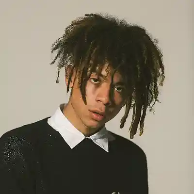 Picture for song 'Never Fall - Iann Dior Type Beat' by artist 'Flex God'