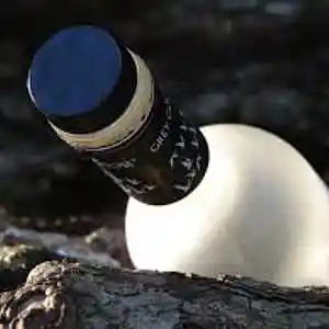 Picture for song '"GREY GOOSE AND ICE"' by artist 'Lyrical616'