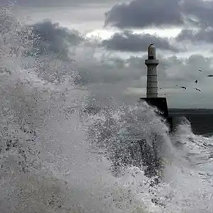 Picture for song 'Atlantic' by artist 'mikkniko'