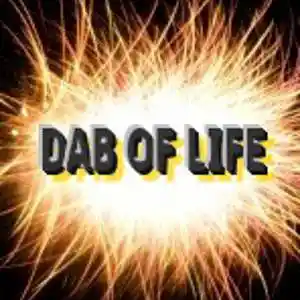 Picture for song 'Dab Free' by artist 'Paul Dalla Via'