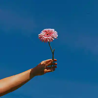 Picture for song 'Sovereign Theme (Buy 1 Get 10 Free)' by artist 'Kontraa'