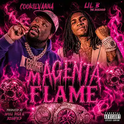 Picture for song 'Magenta Flame - Cookievanna feat Lil B' by artist 'SKULL DIGA'