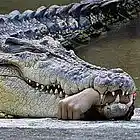 Picture for song 'Dont Bite The Hand Feeds You(Prod.Taz-P Beatz)' by artist 'TAZ P BEATZ'