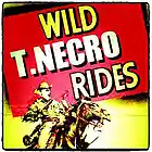 Picture for song 'The Curious Case of the Crooked Spurs' by artist 'Turtle Necromancer'