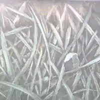 Picture for song 'Vernal' by artist 'Blood Stained Glass'