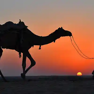 Picture for song 'Arabic Type Beat - "ARABIAN NIGHTS"' by artist 'Borez Beatz'