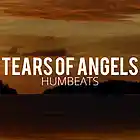 Picture for song 'Humbeats - Tears Of Angels' by artist 'Humbeats'