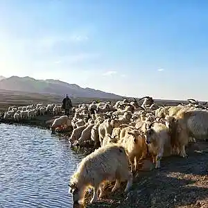 Picture for song 'Go Before Me Oh God' by artist 'John Matteson'