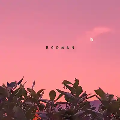 Picture for song 'RODMAN' by artist 'Nofugazi Beats'