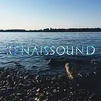 Picture for song 'Blizzard' by artist 'Renaissound'