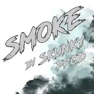 Picture for song 'Smoke * hip hop beat 94 bpm' by artist 'Skunky Prod Beatmaker'