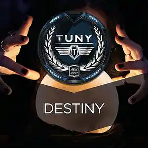 Picture for song 'Destiny' by artist 'Tuny Beats'