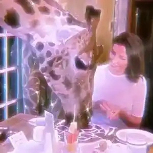 Picture for song 'FRIENDSTONED *BEAT WITH HOOK* [BUY 1 GET 4 FREE]' by artist 'DreamBigRecords'