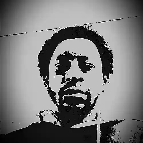 Artist picture