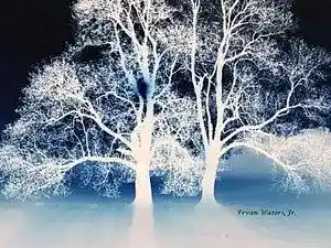 Picture for song 'Sky Tower' by artist 'Ervan Waters Jr'