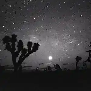 Picture for song 'Stars I 105 bpm D Minor' by artist 'Orko Beats'