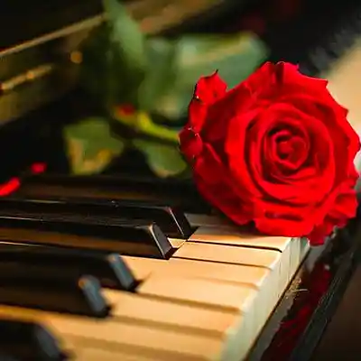 Picture for song 'Close To You' by artist 'Pianist Tony William'