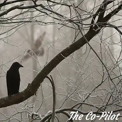 Picture for song 'The Co-Pilot' by artist 'Sean Ferree'