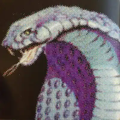 Picture for song '"Sicario" 21 Savage X Kendrick Lamar type beat' by artist 'SemperAnte'