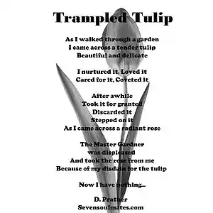 Picture for song 'Trampled Tulip' by artist 'Whats Up DP'