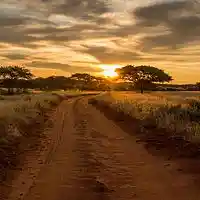 Picture for song 'Dusty Roads' by artist 'White Lotus Productions (WLP)'