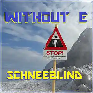 Picture for song 'SCHNEEBLIND' by artist 'WITHOUT E'