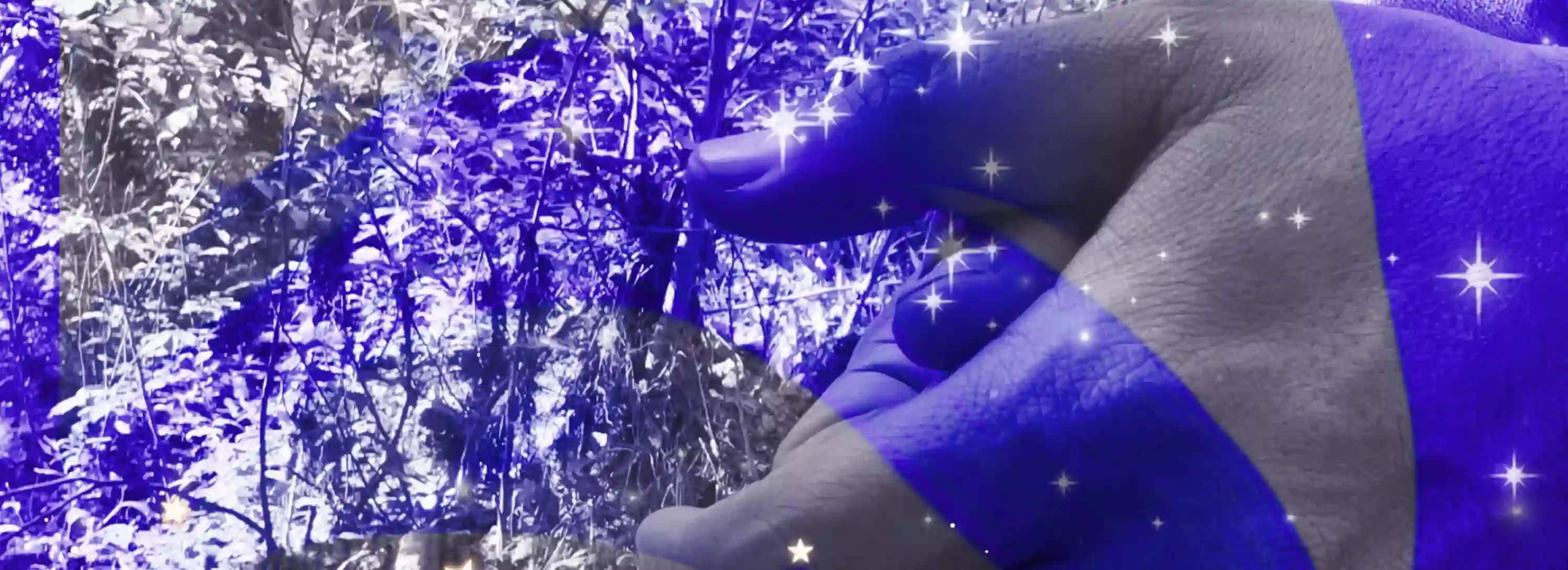 cover pic