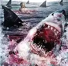 Picture for song 'Shark Teeth' by artist '2severe'