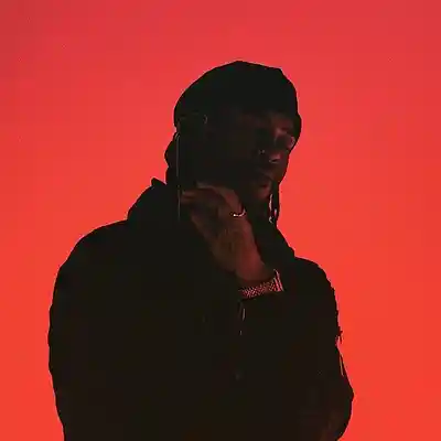 Picture for song 'Slow It Down' by artist '300Cam'