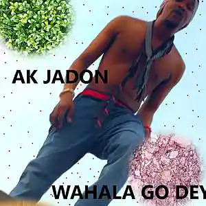 Picture for song 'wahala go dey 2023 MASTER' by artist 'ak jahdon'