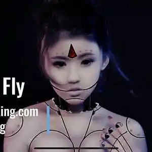 Picture for song '3049 Fly' by artist 'Beats By King'