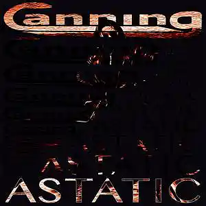 Picture for song 'It All' by artist 'CANNING'