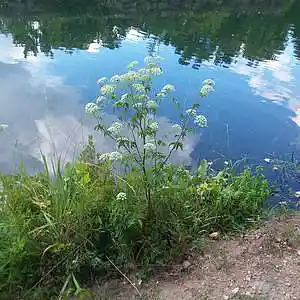 Picture for song 'Football' by artist 'Cevin Clay'