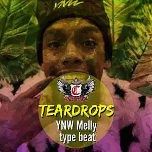 Picture for song 'Teardrops (YNW Melly type beat)' by artist 'Chorderline'
