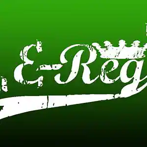 Picture for song 'It's Like This' by artist 'E-Reg'