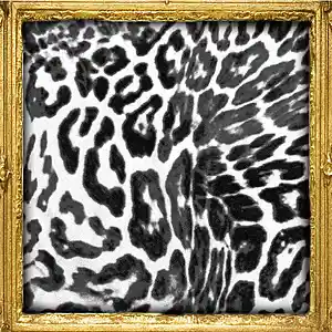 Picture for song 'new cleanse' by artist 'sam2k1x'