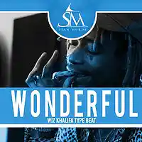Picture for song 'Wonderful' by artist 'SeanMurdz'