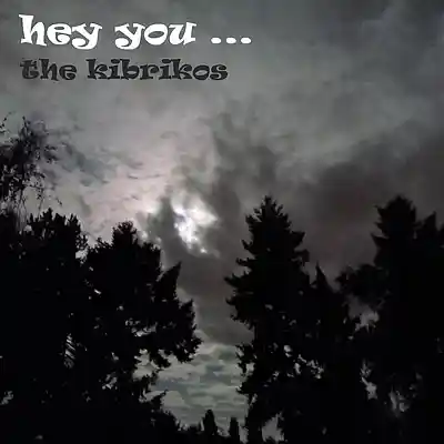 Picture for song 'hey you' by artist 'the kibrikos'